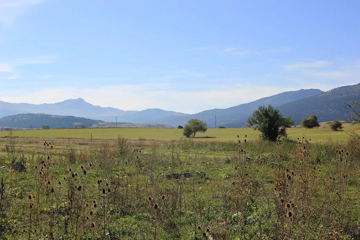 Open fields of the polje